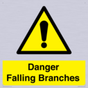 danger-falling-branches~